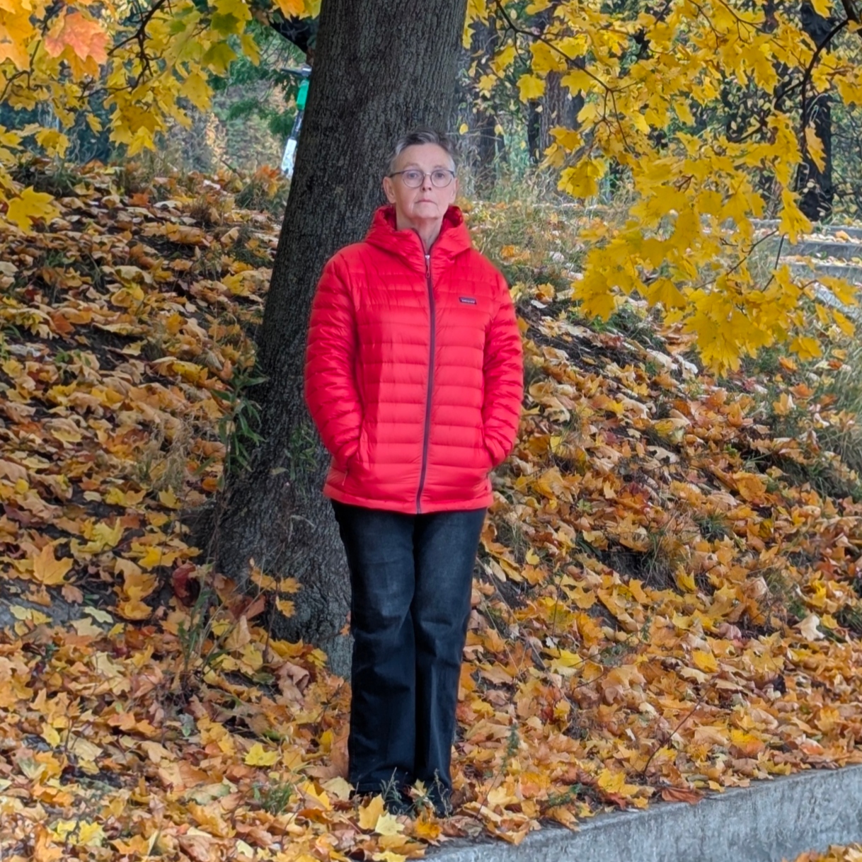 Mis Cellophane (fotoptikon)'s avatar